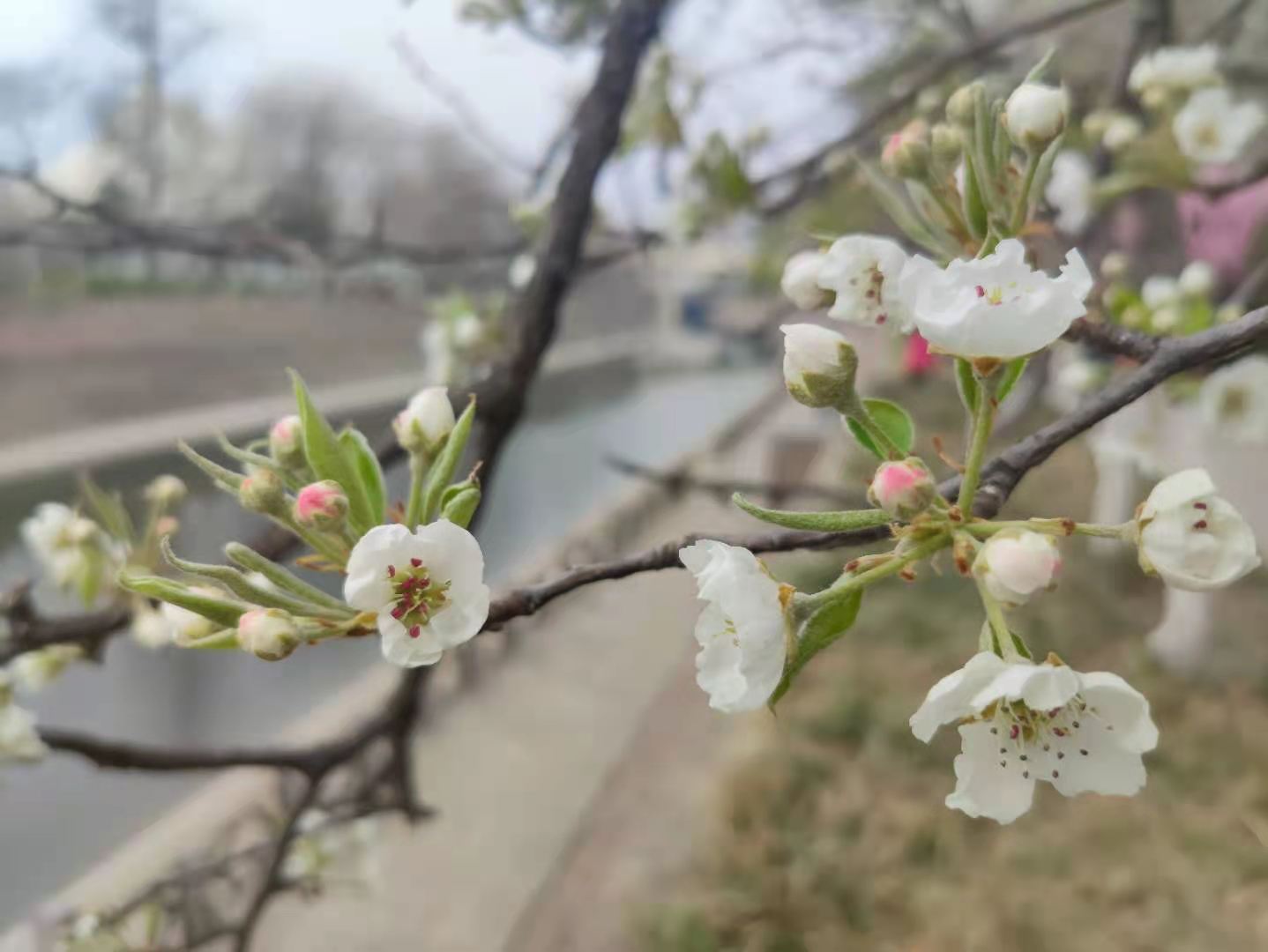 微信图片_20210313173859.jpg