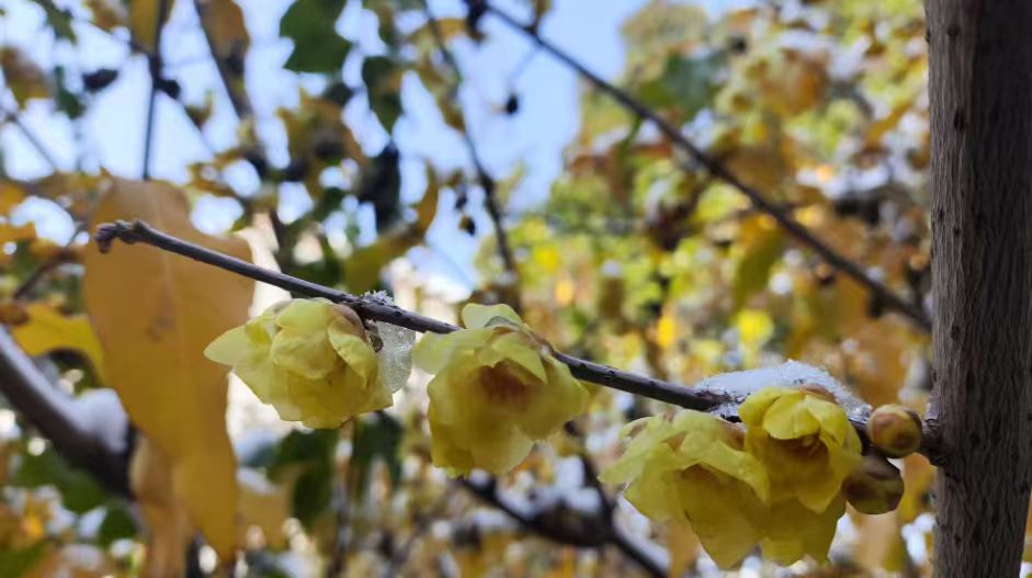 1767275525487226.jpg 微信图片_20260101214911_39_33.jpg