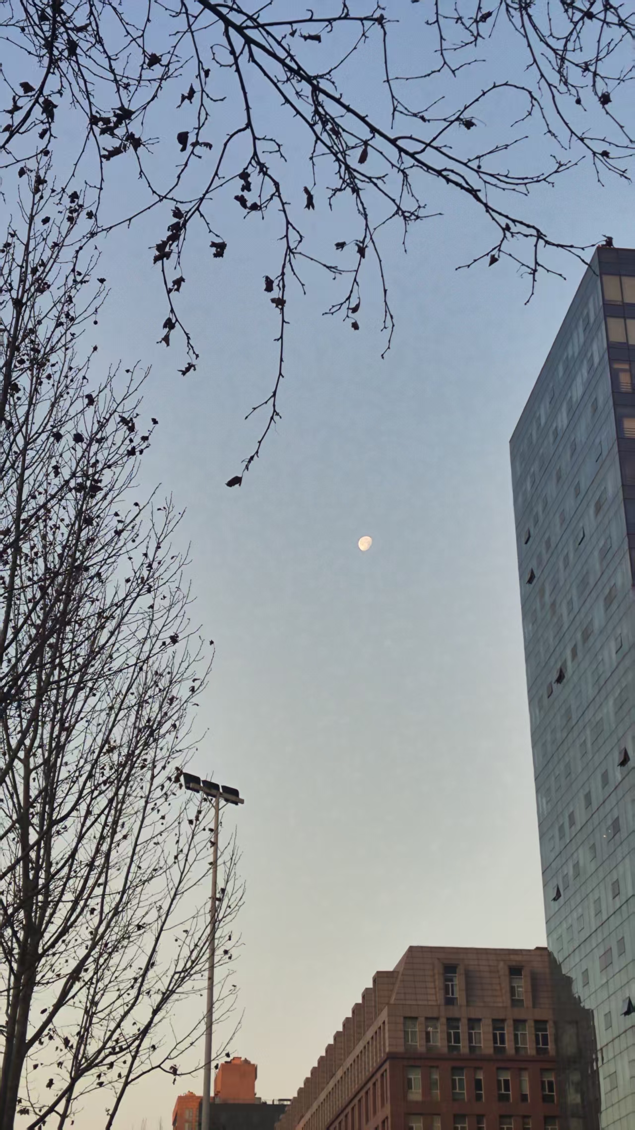 1767927913979432.jpg 微信图片_20260107103335_44_33.jpg