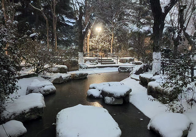 1768832798954802.jpg 微信图片_20260119222111_52_33.jpg