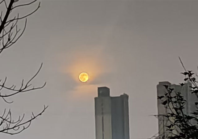 1770081814418948.jpg 微信图片_20260202202562543_25_14.jpg