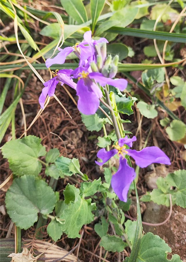 1771771143587452.jpg 微信图片_20260222223229_145_33.jpg