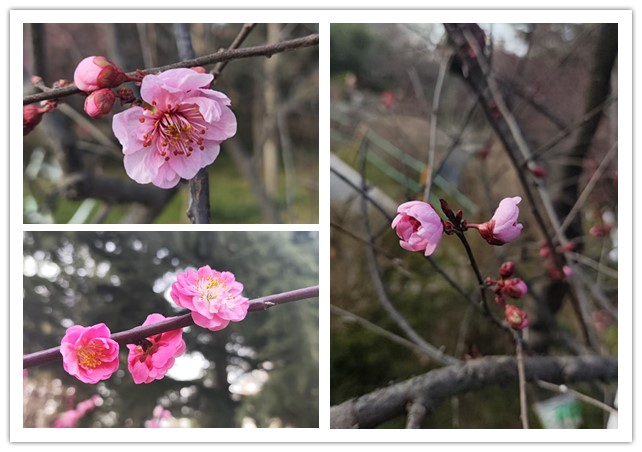 1771852443838949.jpg 微信图片_20260223210940_147_33_副本.jpg