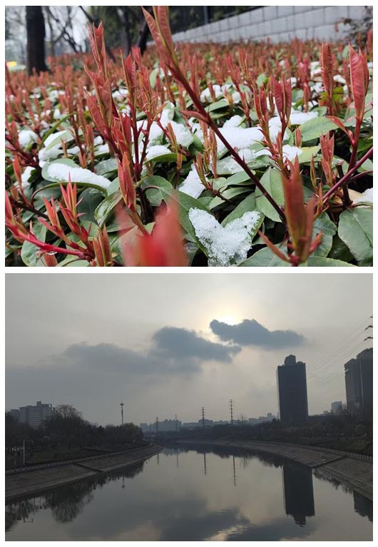 1772457468583322.jpg 微信图片_20260302205036_187_33_副本.jpg