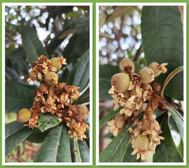 1773067007744249.jpg 微信图片_20260309223042_222_33_副本.jpg