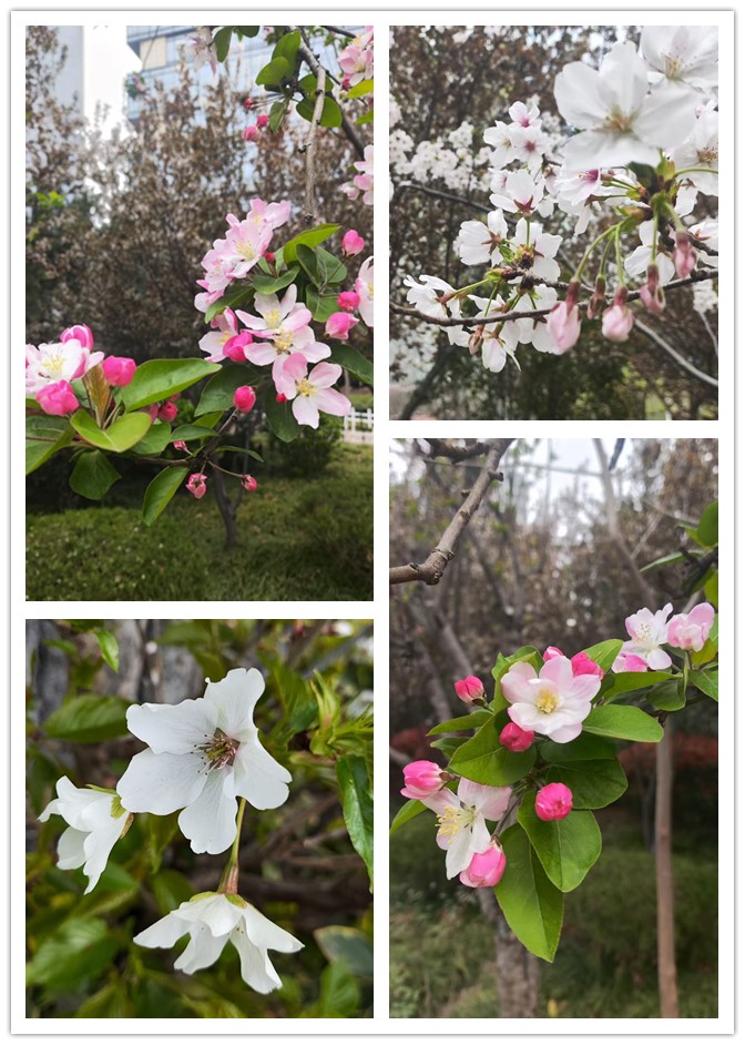 1774277124650352.jpg 微信图片_20260323224020_269_33_副本.jpg