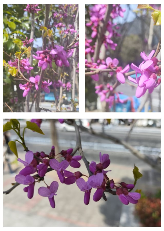 1774448976347493.jpg 微信图片_20260325215654_280_33_副本.jpg