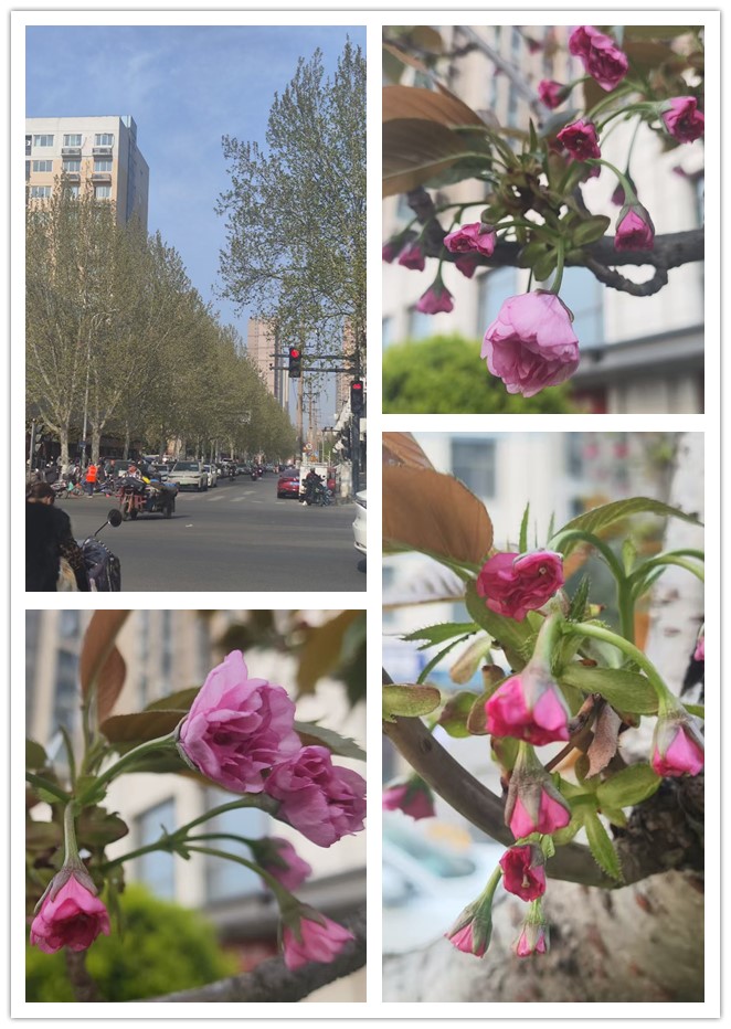 1774793857978407.jpg 微信图片_20260329215730_307_33_副本.jpg