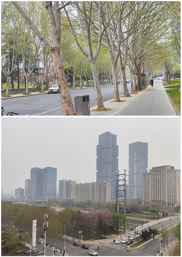 1774876961857854.jpg 微信图片_20260330203702_320_33_副本.jpg