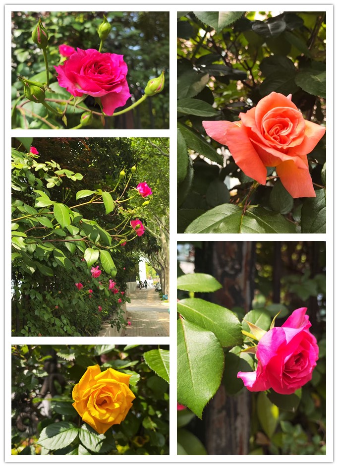 1776263556123835.jpg 微信图片_20260415221040_395_33_副本.jpg