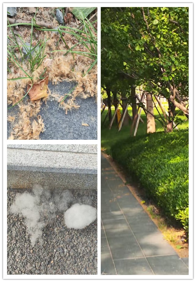 微信图片_20260507224436_60_40_副本.jpg