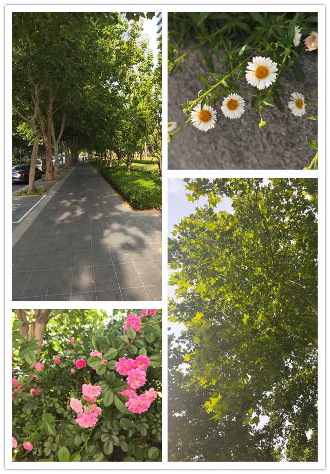 微信图片_20260511221419_80_4_副本.jpg