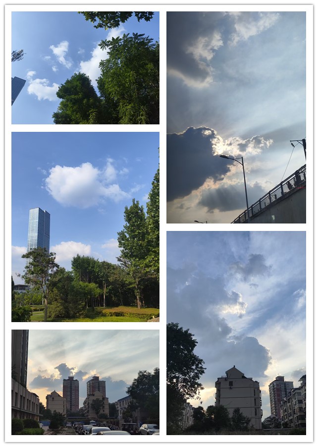 微信图片_20260515215104_99_4_副本.jpg