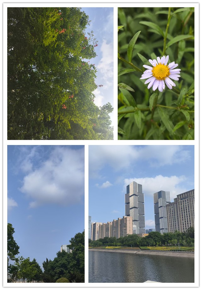 微信图片_20260520222308_116_4_副本.jpg