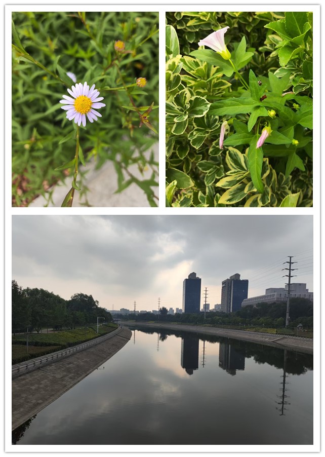 微信图片_20260522221254_130_4_副本.jpg