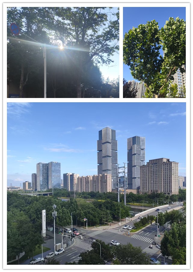 微信图片_20260526221721_143_4_副本.jpg
