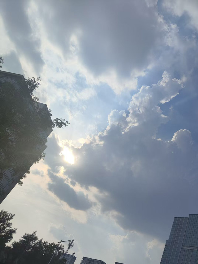 微信图片_20260602222443_173_4.jpg