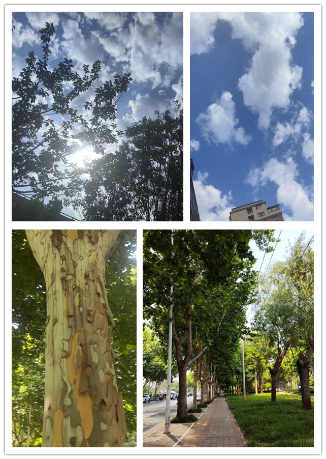 微信图片_20260605223225_182_4_副本.jpg