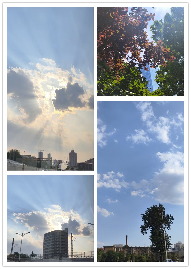 微信图片_20260609213917_192_4_副本.jpg