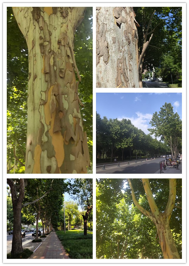 微信图片_20260610214820_200_4_副本.jpg