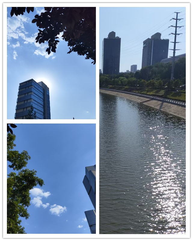 微信图片_20260612133442_206_4_副本.jpg
