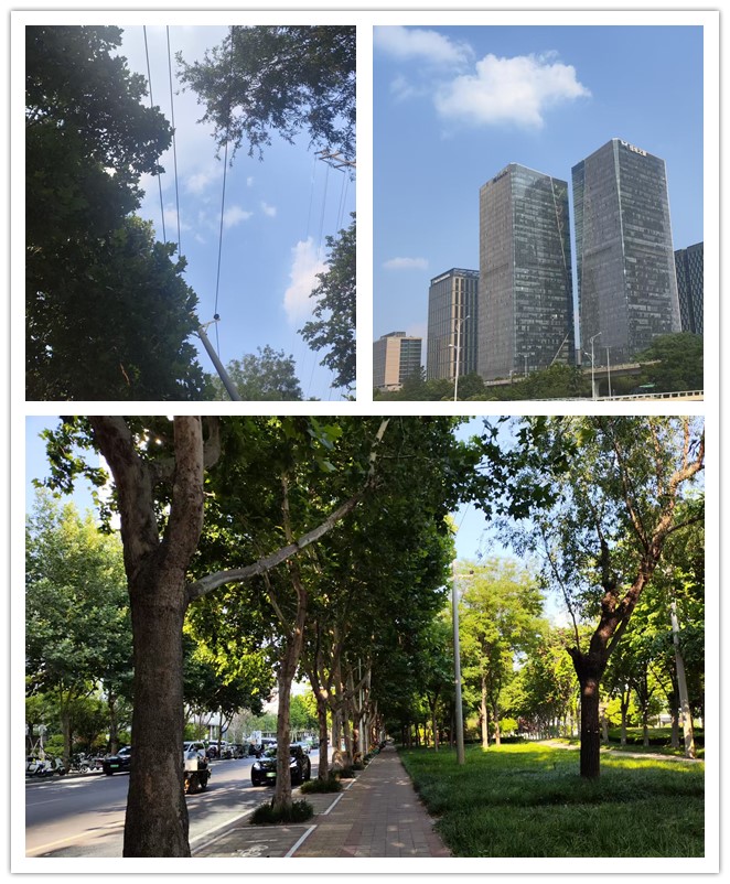 1781532751243702.jpg 微信图片_20260608214459_188_4_副本.jpg