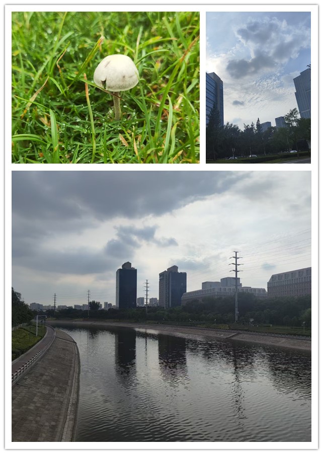 微信图片_20260622221024_244_4_副本.jpg