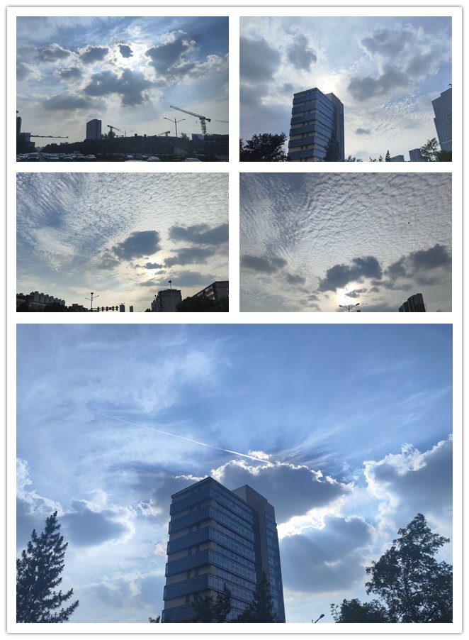 微信图片_20260623214724_252_4_副本.jpg