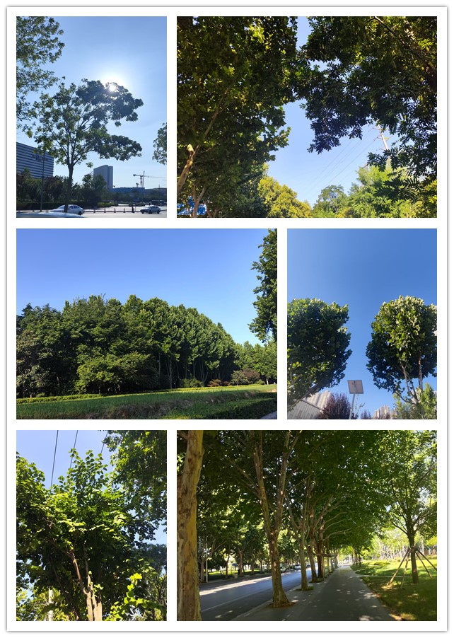 微信图片_20260703225209_277_4_副本.jpg