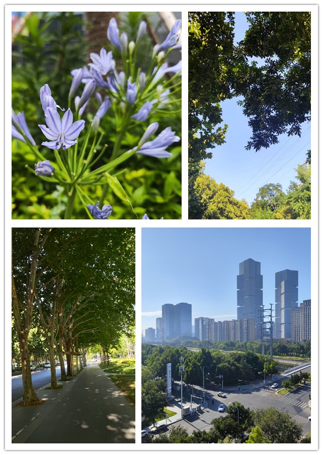 微信图片_20260707162250_293_4_副本.jpg