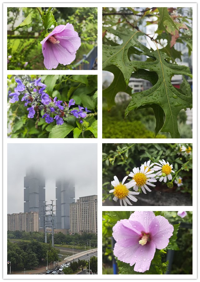微信图片_20260729195336_362_4_副本.jpg