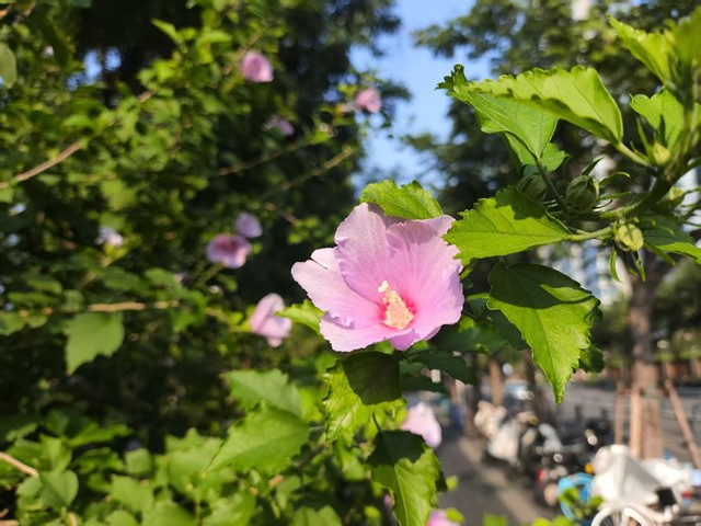 微信图片_20260806212524_398_4_副本.jpg