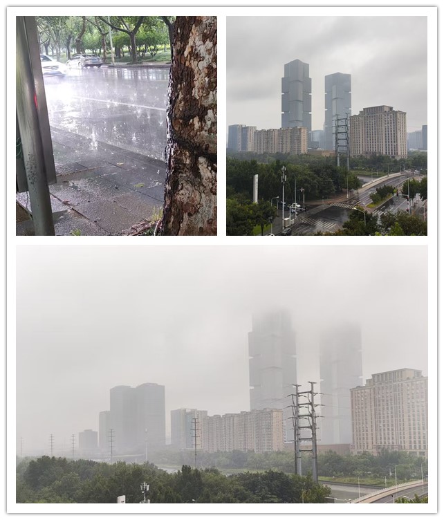 1786451720927443.jpg 微信图片_20260811201834_410_4_副本.jpg