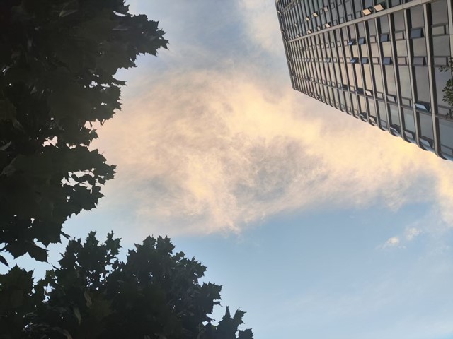 微信图片_20260814221613_421_4_副本.jpg