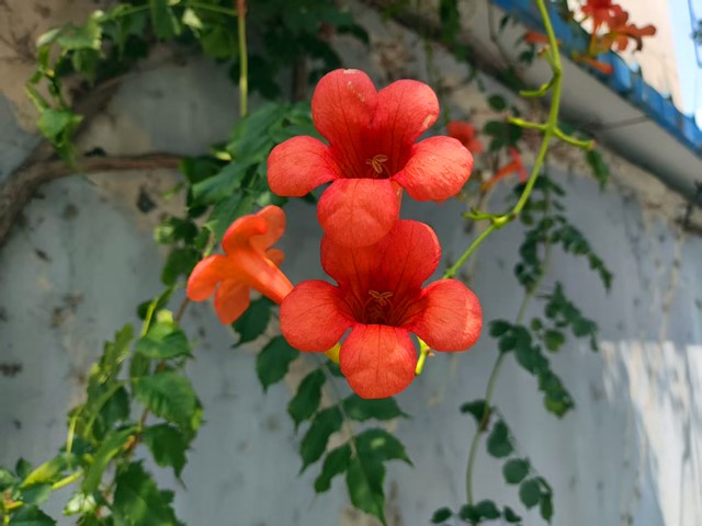 微信图片_20260816224440_424_4_副本.jpg