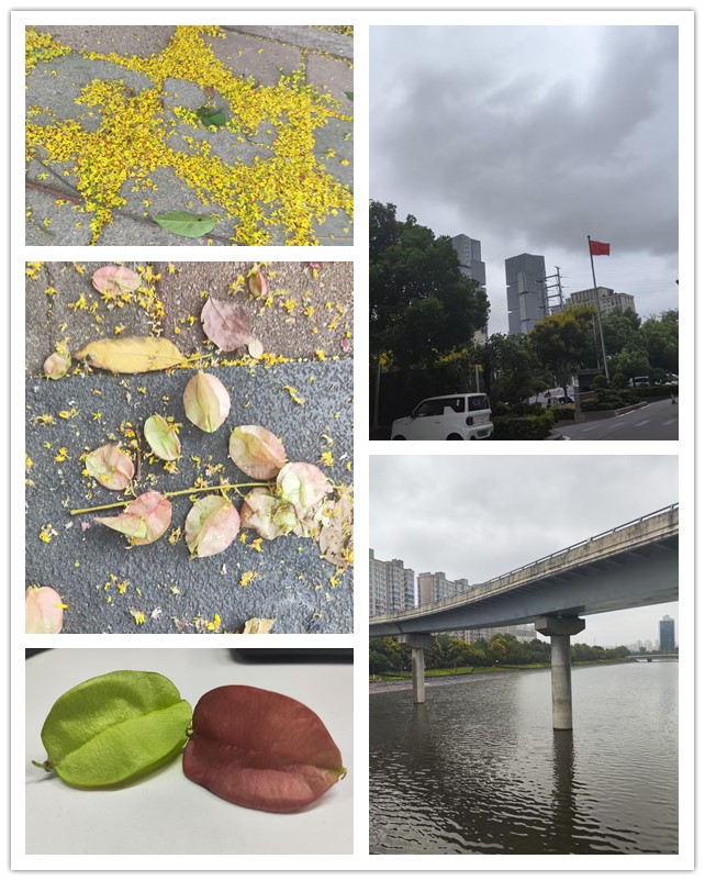 微信图片_20260909214900_502_4_副本.jpg