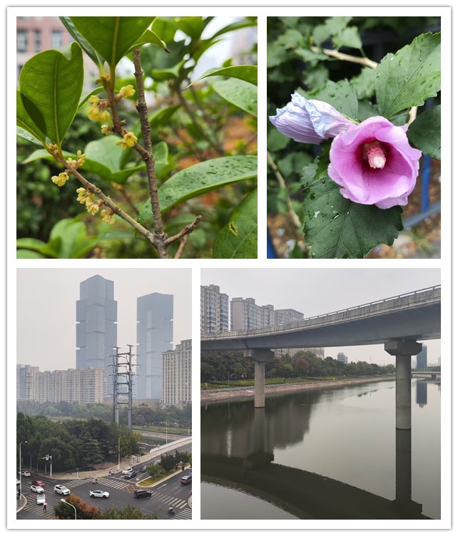 微信图片_20260920221606_27_11_副本.jpg