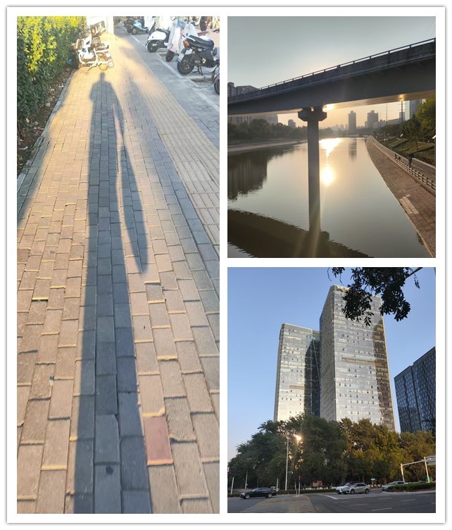 微信图片_20261010210051_80_11_副本_副本.jpg