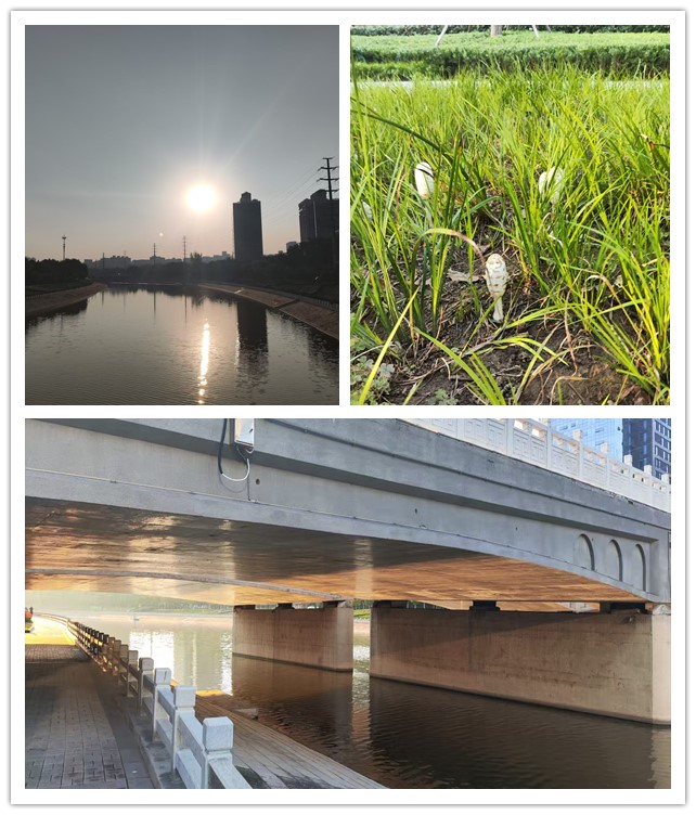 微信图片_20261015202740_102_11_副本.jpg