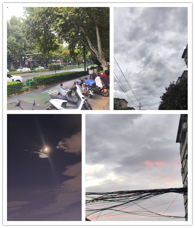 微信图片_20261018193414_122_11_副本.jpg