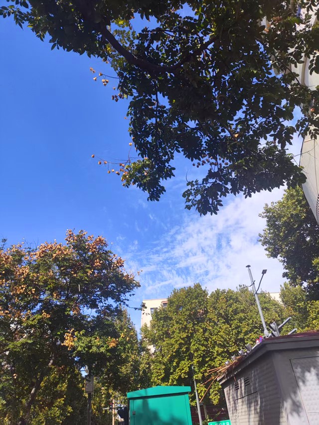 微信图片_20261019222553_125_11_副本.jpg