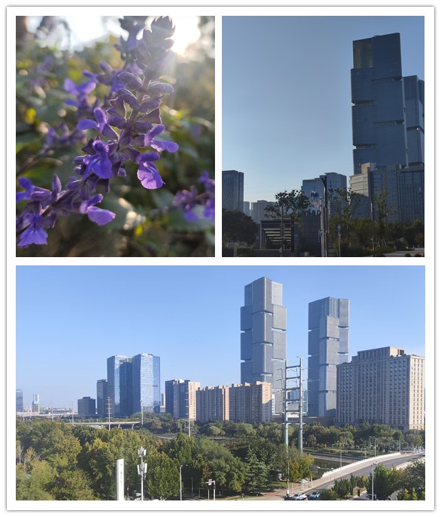 微信图片_20261021195538_133_11_副本.jpg
