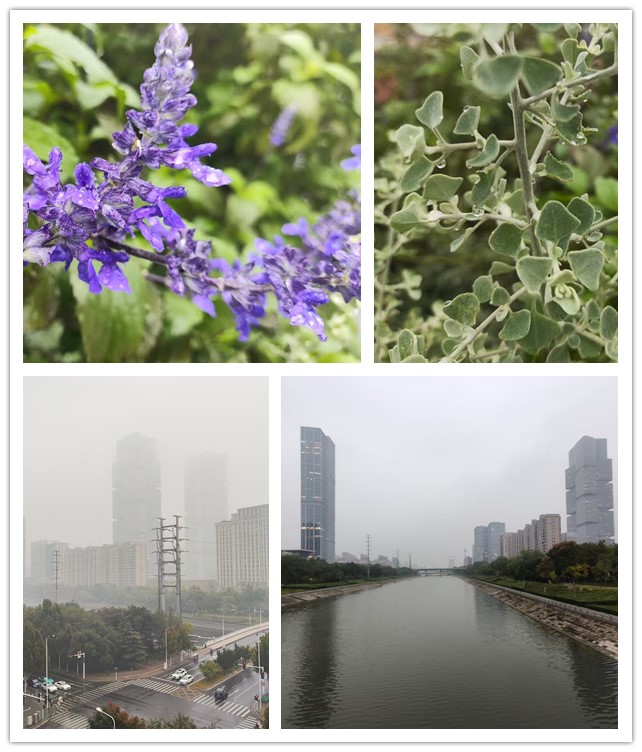 微信图片_20261026214138_147_11_副本.jpg