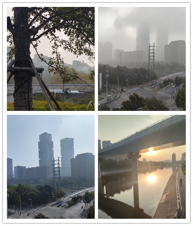 微信图片_20261027223702_150_11_副本.jpg