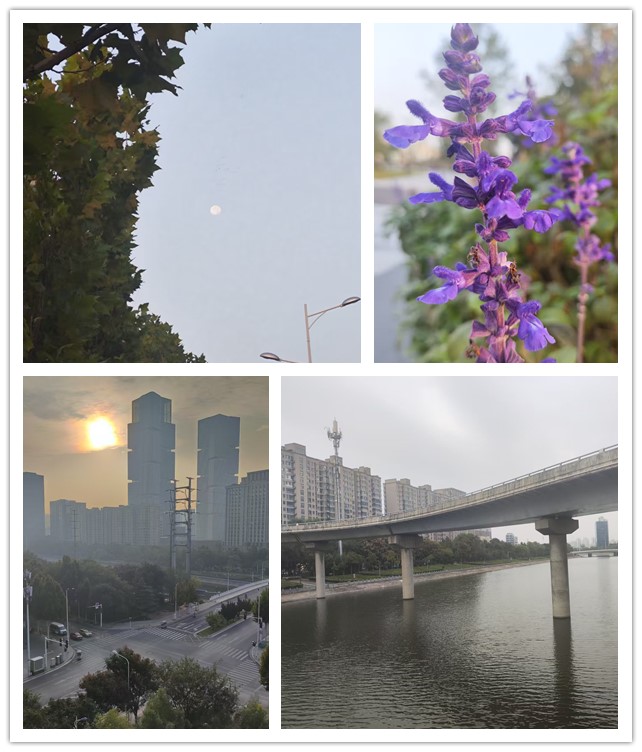 微信图片_20261028213554_158_11_副本.jpg