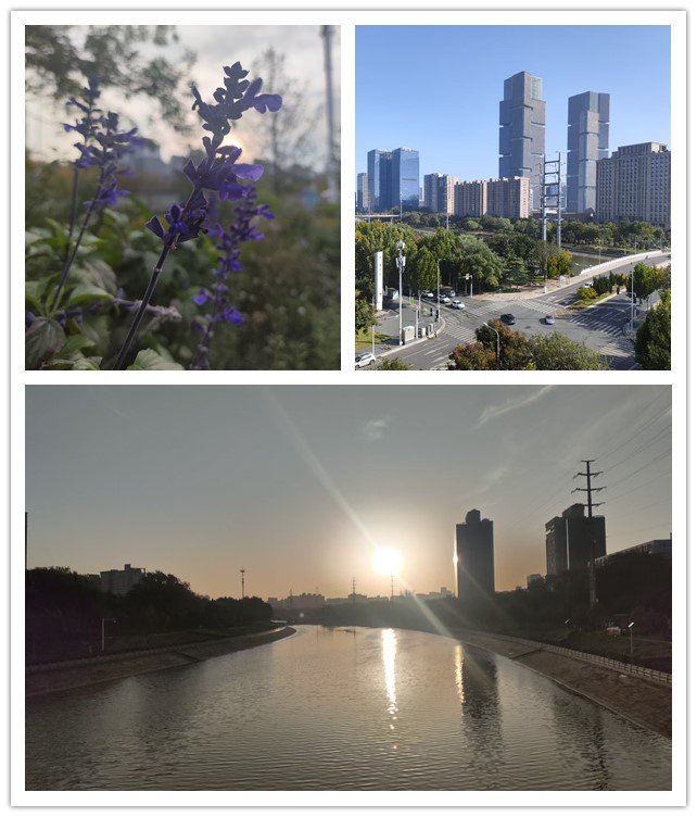 微信图片_20261029212239_164_11_副本.jpg