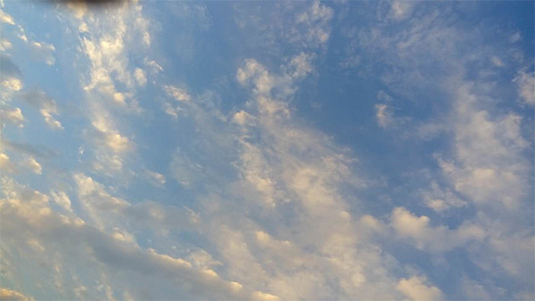 未标题-1.jpg
